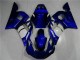 Azul Abs Carenagem Moto R6 98-02