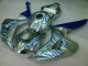 Azul Chama Prata Carenagem Moto CBR 1000RR 06-07 Azul Chama Prata Carenagem Moto CBR 1000RR 06-07