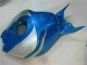 Azul Prata Carenagem Moto CBR 1000RR 06-07