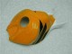 Laranja Preto Repsol Kit Completo Carenagem Moto CBR 1000RR 04-05