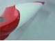 Carenagens Moto Yamaha YZF 1000 R1 1998-1999 - Vermelho Branco Preto Dunlop
