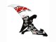 Carenagens Moto Yamaha YZF 1000 R1 2002-2003 - Branco Vermelho Preto Castrol