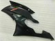 Preto Moto Plástico R6 08-16