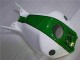 Verde Branco Carenagem Moto CBR 1000RR 04-05