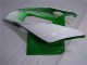Verde Branco Carenagem Moto CBR 1000RR 04-05