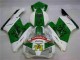 Verde Branco Carenagem Moto CBR 1000RR 04-05