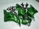 Verde Carenagem Moto CBR 600RR 09-12
