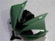 Verde Carenagem Moto R6 06-07