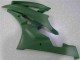 Verde Carenagem Moto R6 06-07